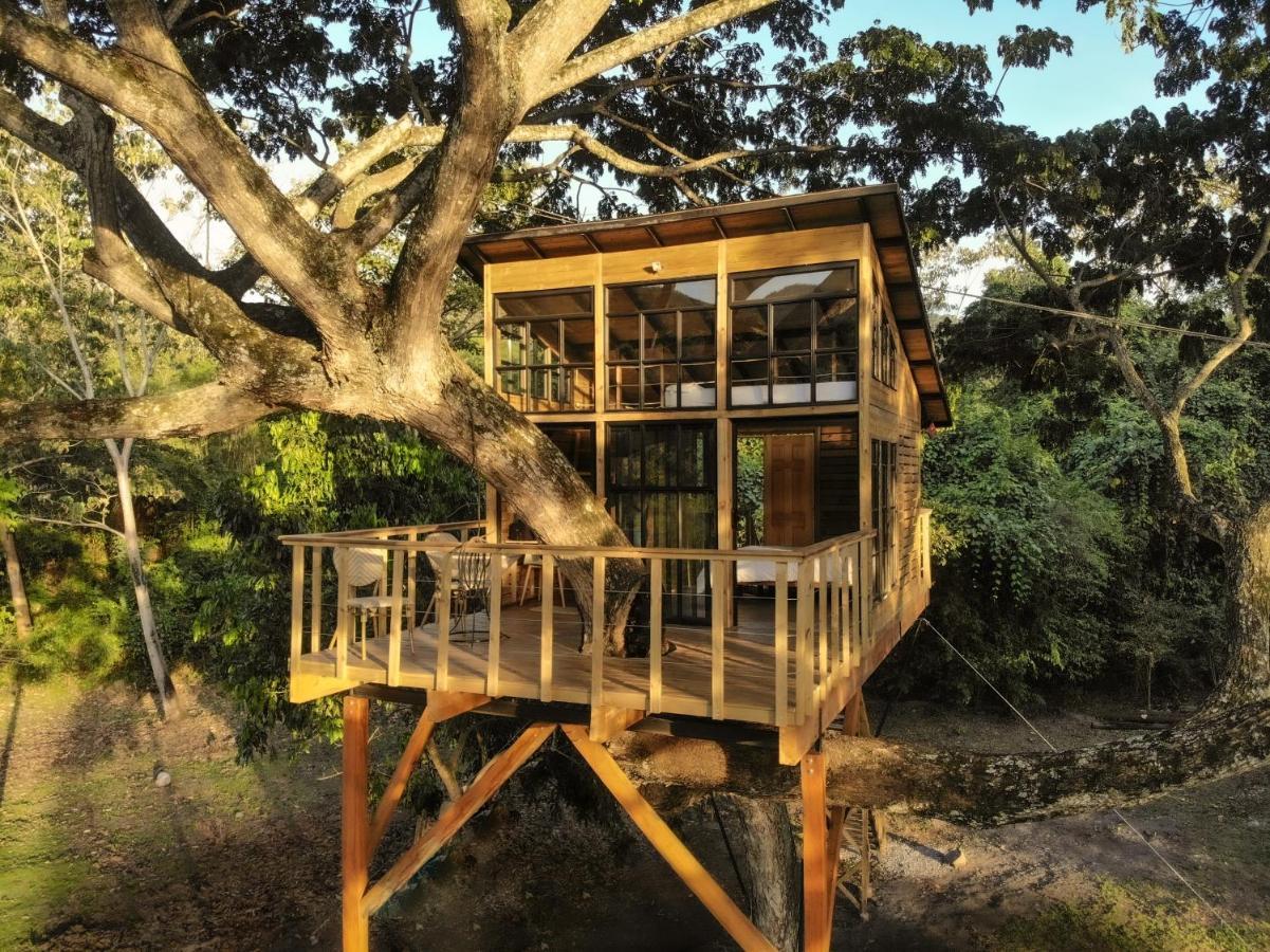 Villa Casa en el Arbol Utica Exterior foto