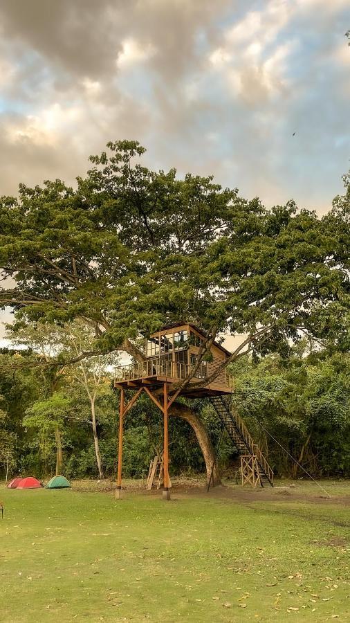 Villa Casa en el Arbol Utica Exterior foto